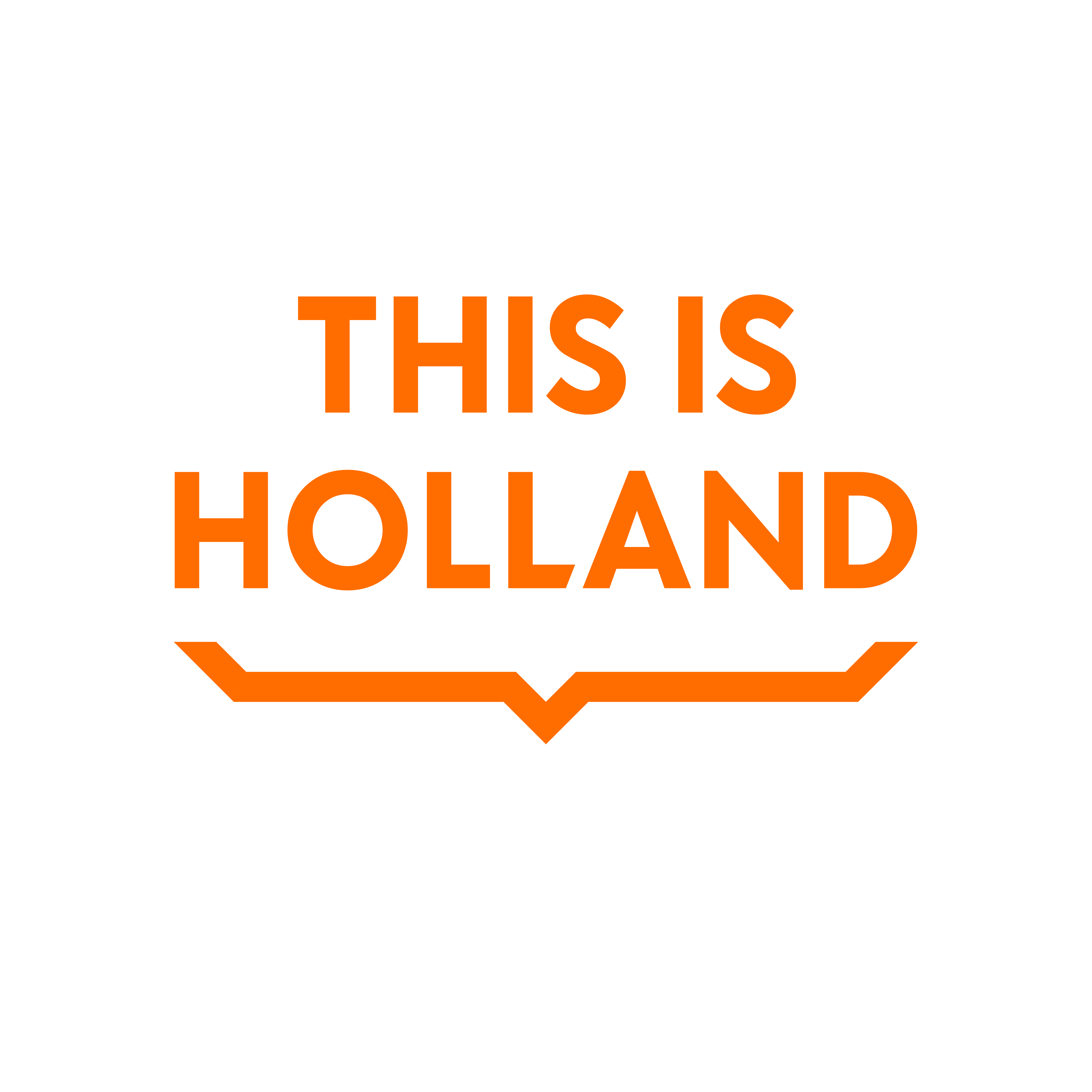 Kom met 2 personen vliegen over Nederland bij THIS IS HOLLAND!